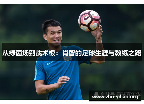 从绿茵场到战术板:肖智的足球生涯与教练之路 从绿茵场到战术板:肖智的足球生涯与教练之路