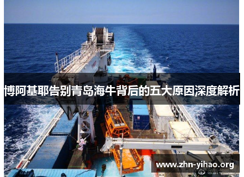 博阿基耶告别青岛海牛背后的五大原因深度解析 博阿基耶告别青岛海牛背后的五大原因深度解析