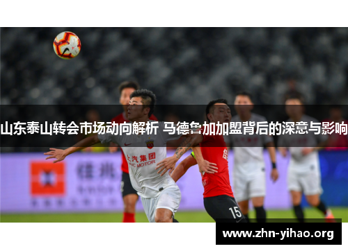 山东泰山转会市场动向解析 马德鲁加加盟背后的深意与影响 山东泰山转会市场动向解析 马德鲁加加盟背后的深意与影响