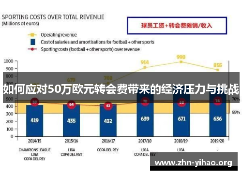如何应对50万欧元转会费带来的经济压力与挑战 如何应对50万欧元转会费带来的经济压力与挑战