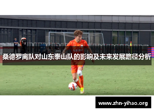 桑德罗离队对山东泰山队的影响及未来发展路径分析 桑德罗离队对山东泰山队的影响及未来发展路径分析