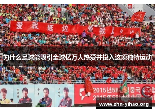 为什么足球能吸引全球亿万人热爱并投入这项独特运动 为什么足球能吸引全球亿万人热爱并投入这项独特运动